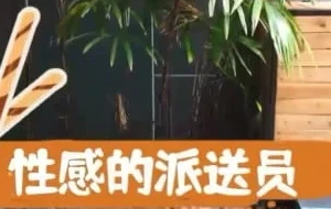 性感的派送员 | 视频