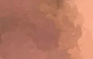 虎仔无T抽插冷白皮小受 | 视频